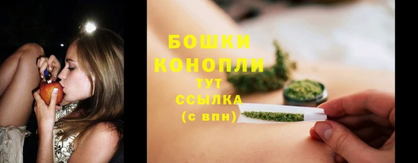 дмт Козельск