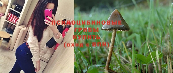 дмт Козельск