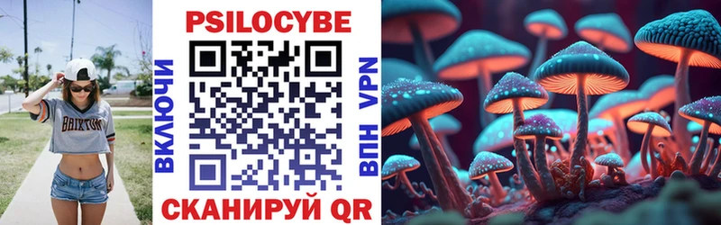 цена наркотик  Калачинск  Псилоцибиновые грибы Psilocybe 